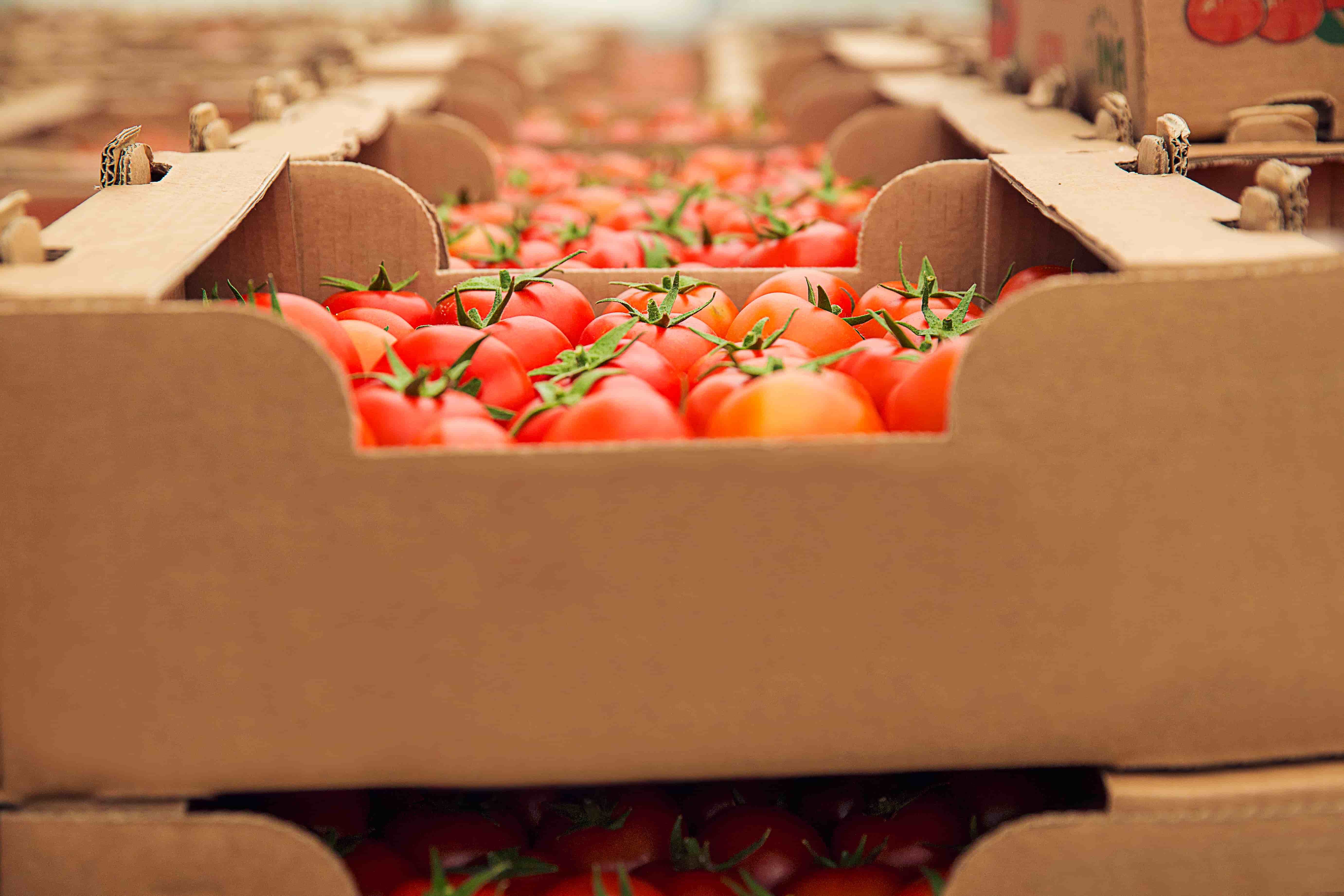 Sustainable packaging